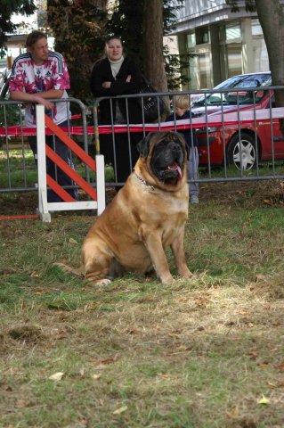 foire-haricots 2011-09-17et18